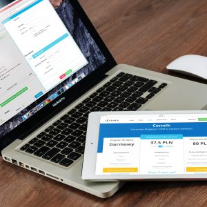 web development